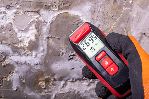 Best Insurance-Related Mold Remediation in Three Rivers, TX