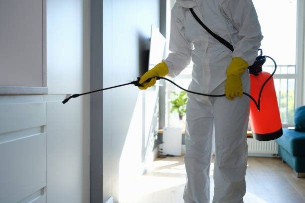 Best Industrial Mold Remediation in Three Rivers, TX