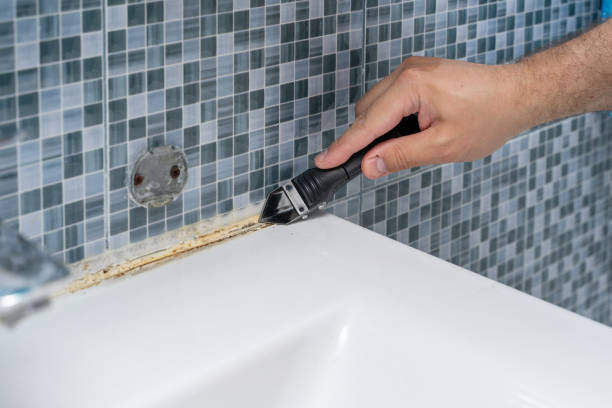 Best Emergency Mold Remediation in Three Rivers, TX