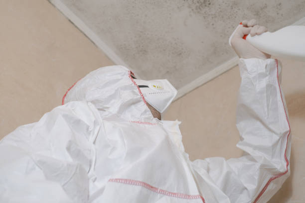 Best Localized Mold Remediation (e.g., coastal areas, humid climates) in Three Rivers, TX