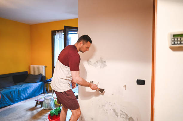 Best Mold Remediation for Specific Building Types in Three Rivers, TX