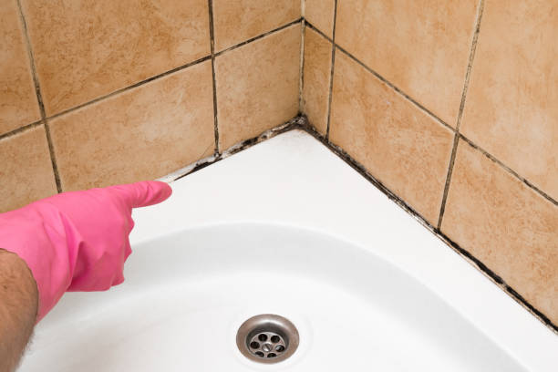 Best Preventive Mold Services in Three Rivers, TX